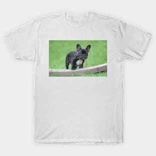 Cute French Bulldog Digital Painting T-Shirt